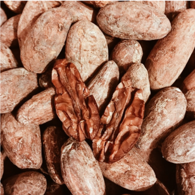 Cacao en Grano / Cacao beans